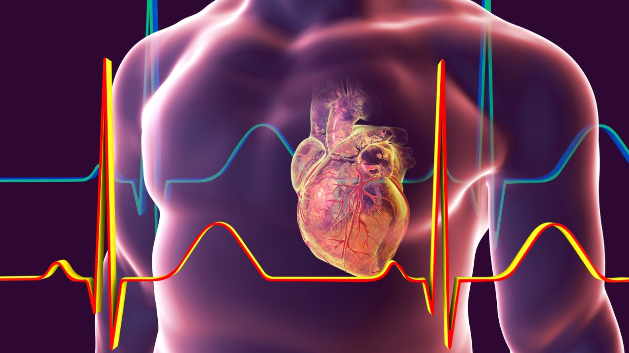 Olahraga untuk Kesehatan Jantung: Mendukung Kardiovaskular yang Kuat
